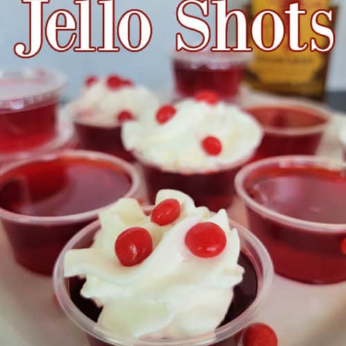 Fireball Jello Shots Tammilee Tips