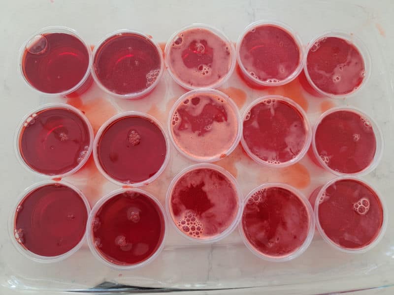 Red fireball jello shots in plastic cups in a casserole dish