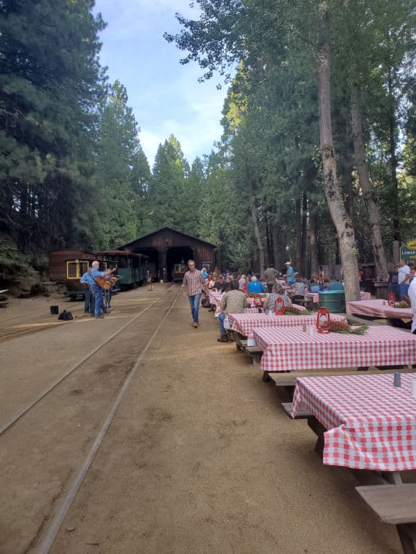red checked tablecloths on picnic tables at yosemite sugar pine railroad