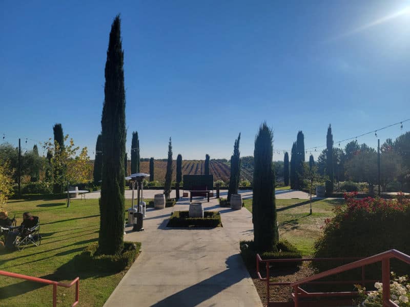 Toca Madera Winery grounds with rows of bushes, and wine grapes in the background