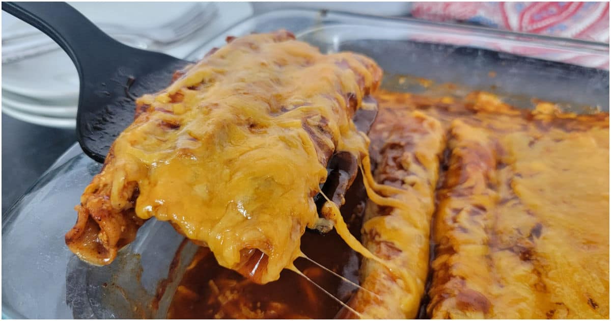 3 Ingredient Lazy Enchiladas (Viral TikTok Recipe) Tammilee Tips