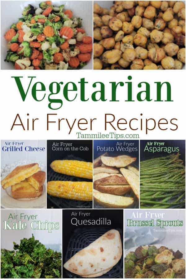 30+ Easy Delicious Vegetarian Air Fryer Recipes - Tammilee Tips