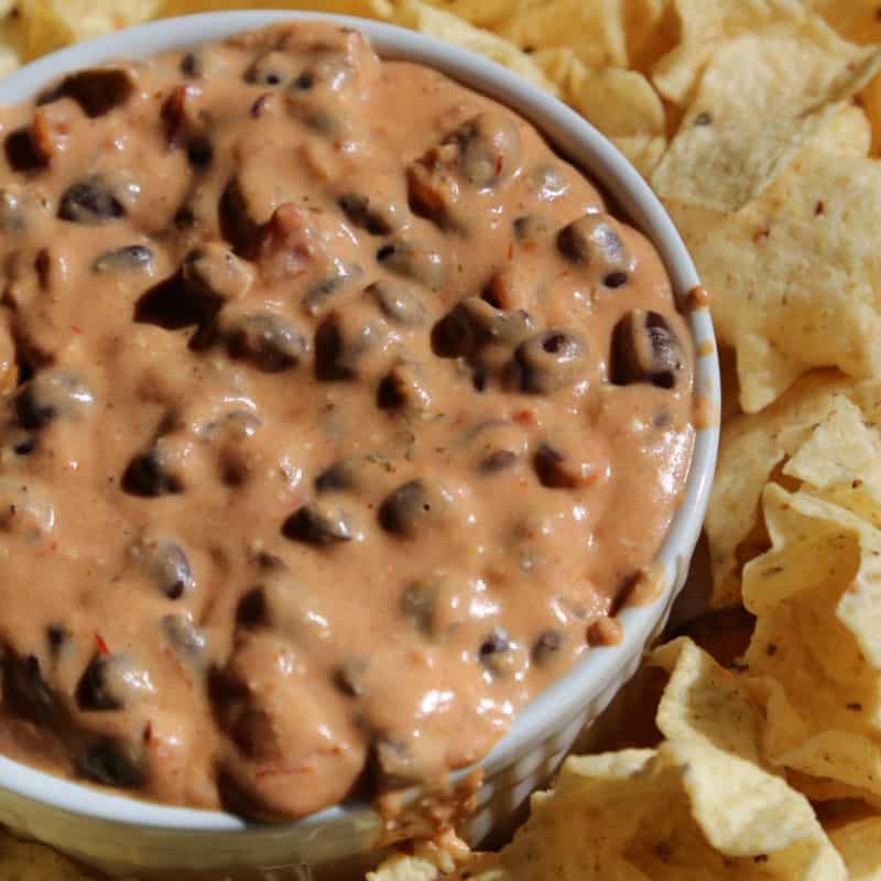 Black bean queso in a white bowl surrounded by tortilla chips