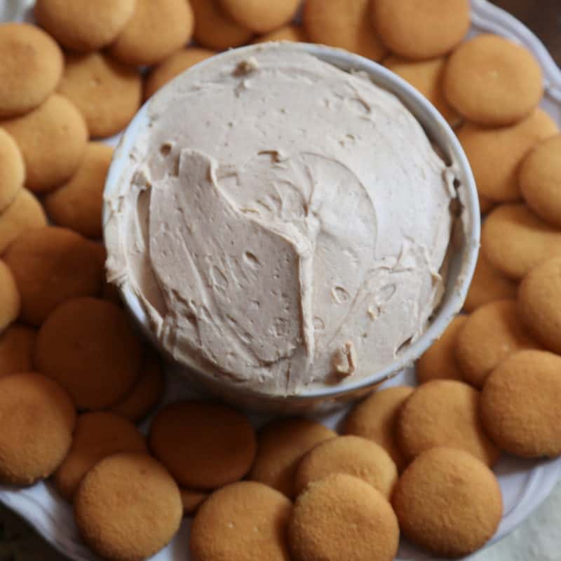 Pumpkin Cheesecake Dip in a white bowl surrounded by nilla wafers