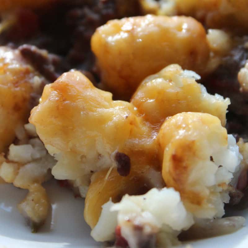 Tater tot casserole with melted cheese on a white plate