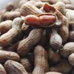 crockpot boiled peanuts stacked on top of each other with one open