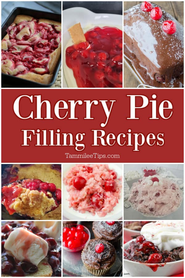 Easy Cherry Pie Filling Recipes Everyone Can Enjoy! Tammilee Tips