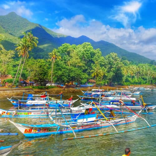 Boats surrounded by palm trees and mountains in the Philippines
