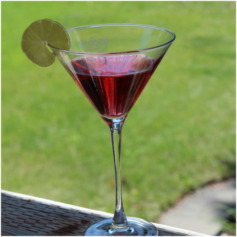 Dark red martini in a martini glass with grass in the background