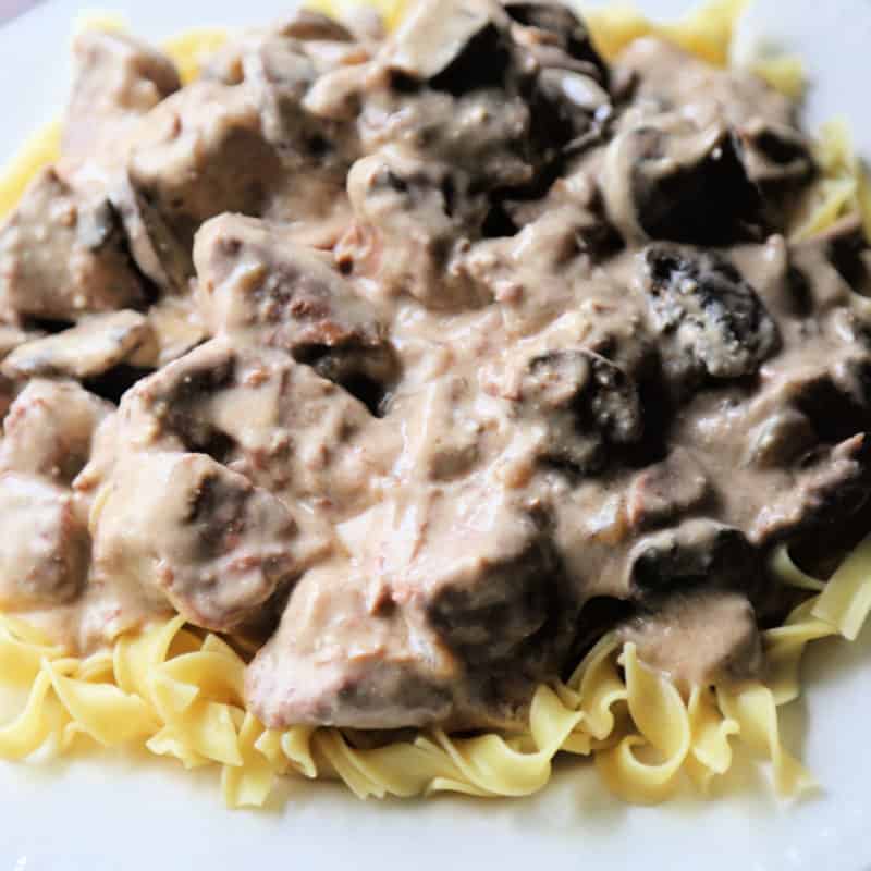 porter stroganoff on egg noodles on a white plate