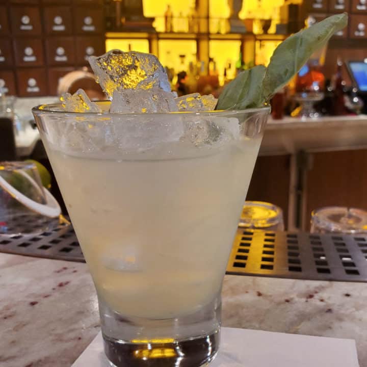 Carnival Cruise Drink Recipes you can make at home! - Tammilee Tips