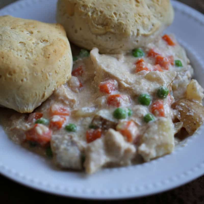 Chicken pot pie with biscuits in a white bowl