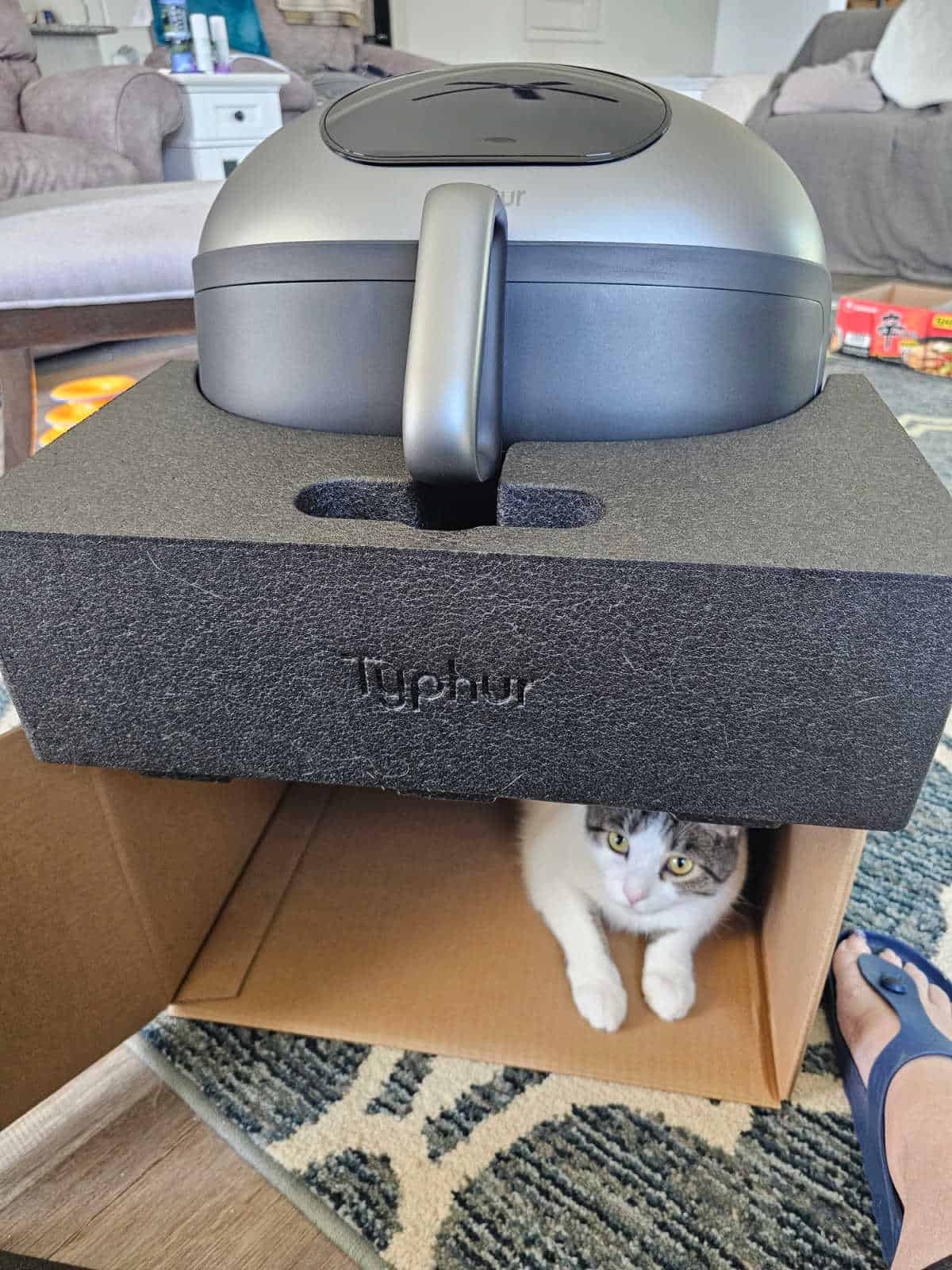 Typhur air dome sitting on top of a box with a kitten inside of it