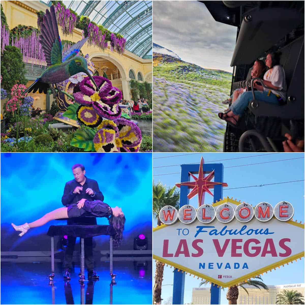 Collage of unique things to do in las vegas with flower gardens, flyover las vegas, nathan burton magic show, and the vegas sign