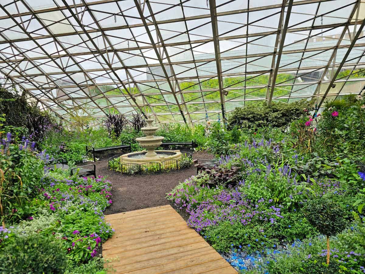 Glass conservatory with blue and purple flowers and lots of plants by a fountain