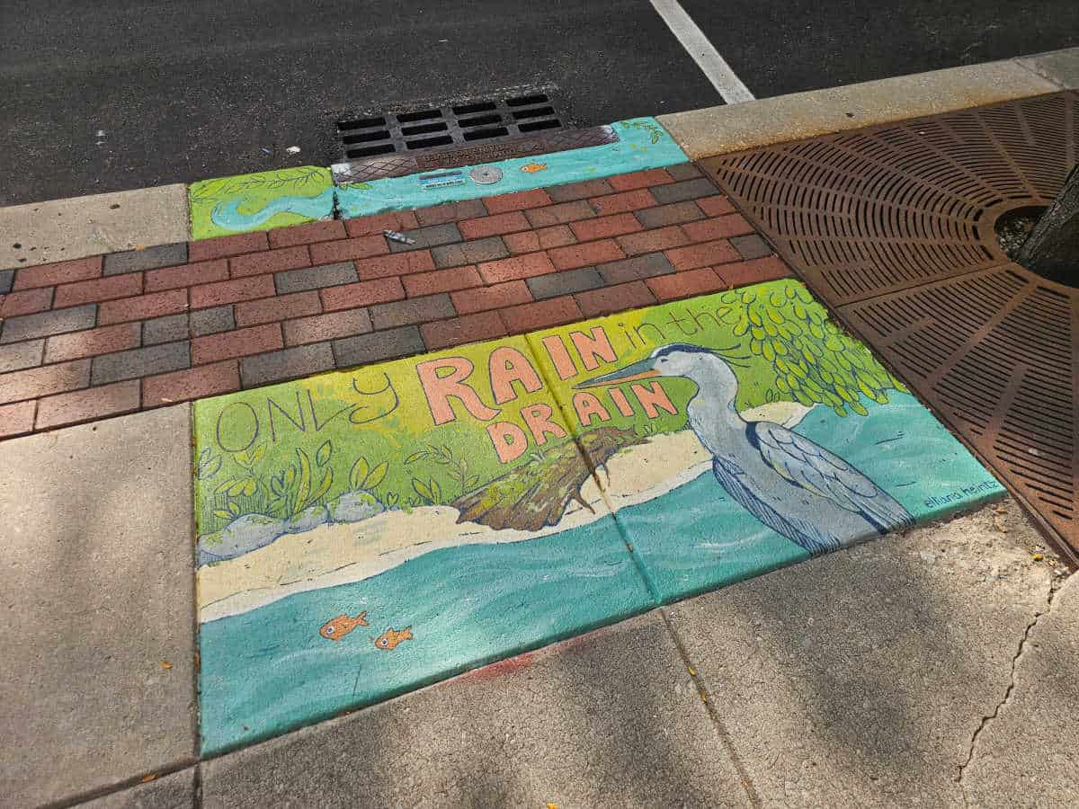 Only Rain in the drain mural with a great blue heron
