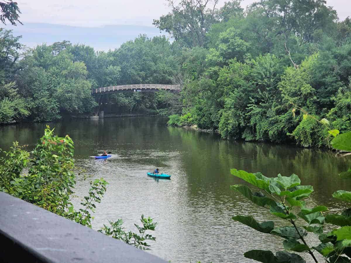 Kayakers on a river with a bridge in the background