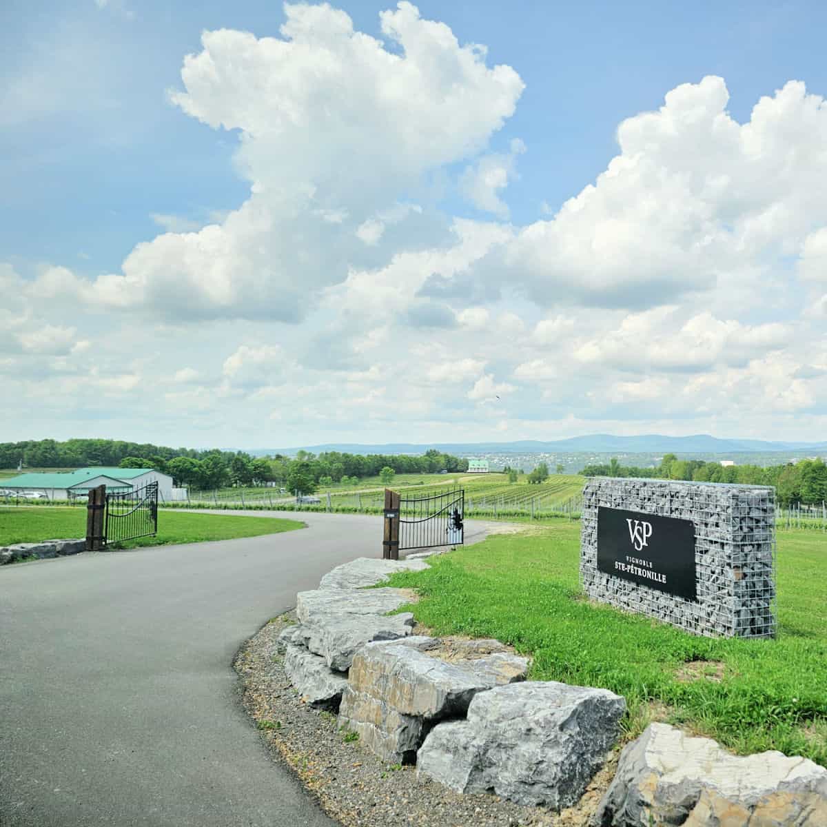 VSP sign with winding driveway leading down to rows of grapevines and the St. Lawrence River in the background