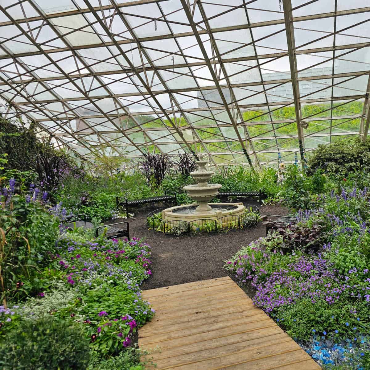 Botanical garden with blue and purple plants and flowers around a fountain under a glass cover