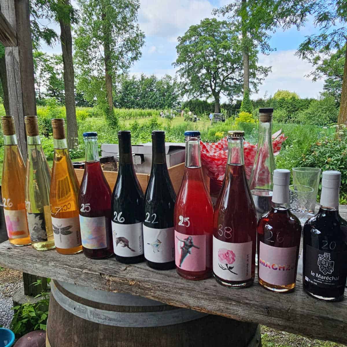 Wine bottles lined up on a wooden counter with grapevines in the background and trees.