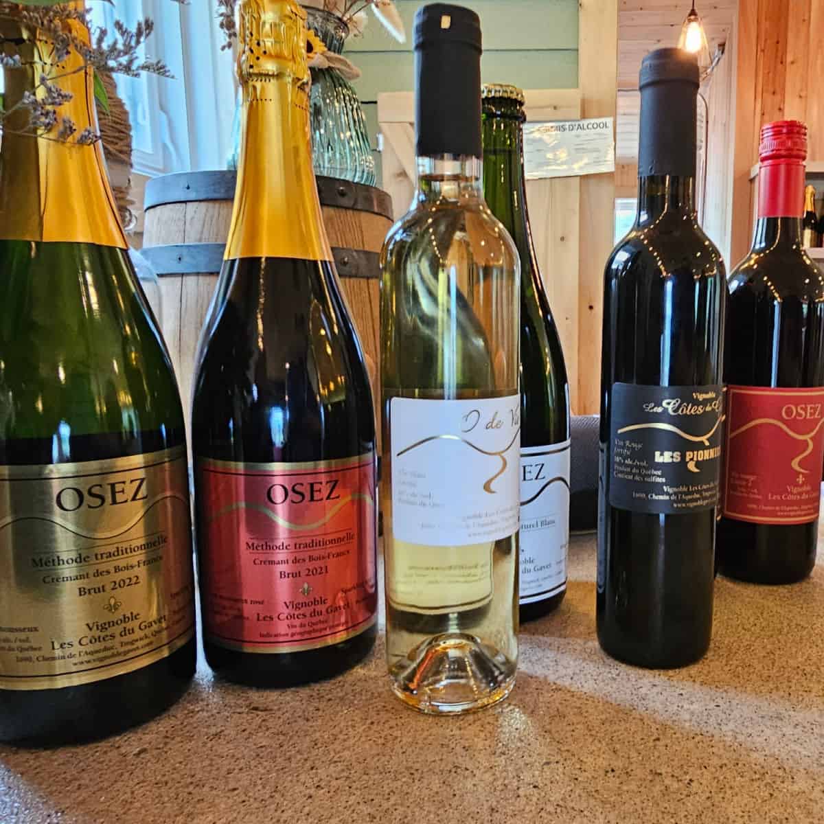 Wine bottles lined up from Vignoble Les Cotes du Gavet