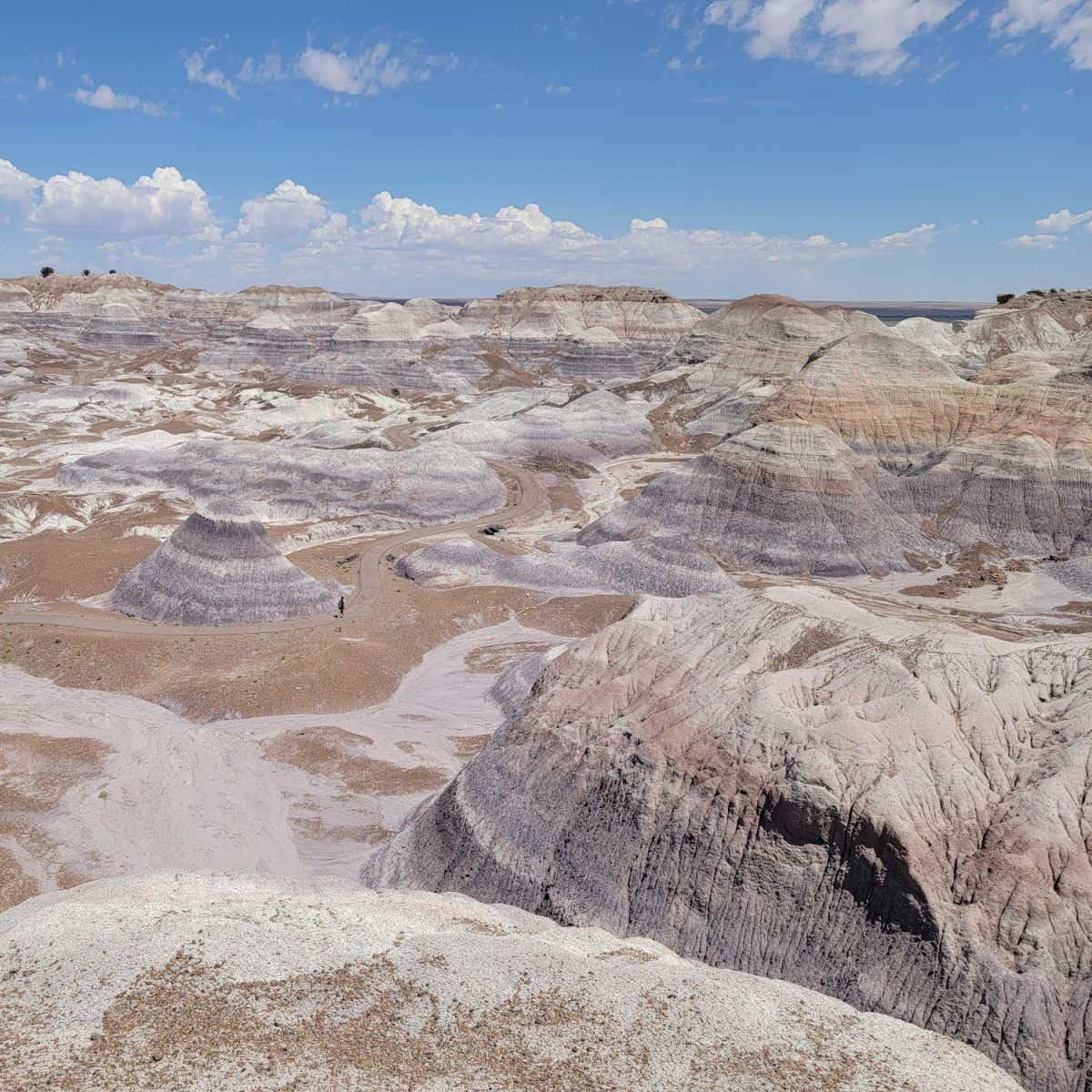 looking out over the blue mesa in Petrified Forest National Park with blue skies and clouds